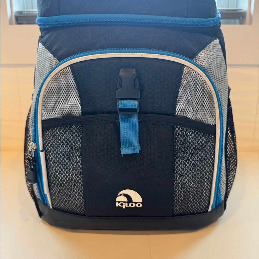 Igloo Men's Backpack with Black and Blue Accents